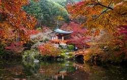 2166-Grand Tour del Giappone durante il foliage con Stefania Morandi