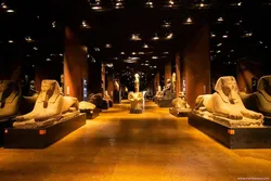 837-Torino e il Museo Egizio con visita guidata