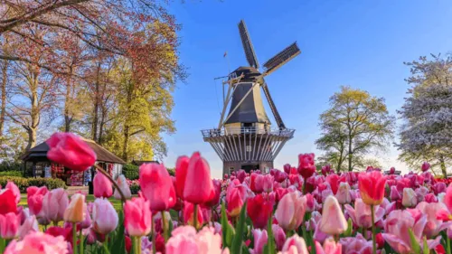 OLANDA INSOLITA: Amsterdam, il Keukenhof, Volendam, Marken e Rotterdam