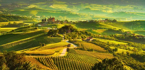 Alla scoperta delle Langhe