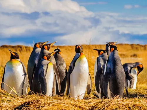 Tour Argentina & Patagonia con Stefania Morandi