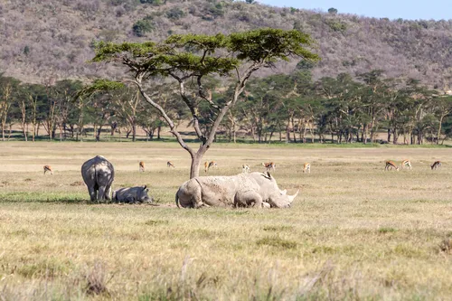 TOUR SUDAFRICA E MAURITIUS