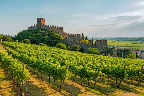 Alla scoperta di Soave con visita guidata e degustazione in cantina
