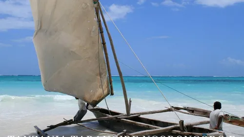 Tanzania, Tarangire, Ngorongoro e Mare