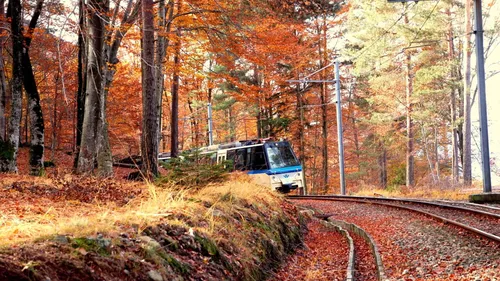 Treno del Foliage in Val Vigezzo - Da Locarno a Domodossola