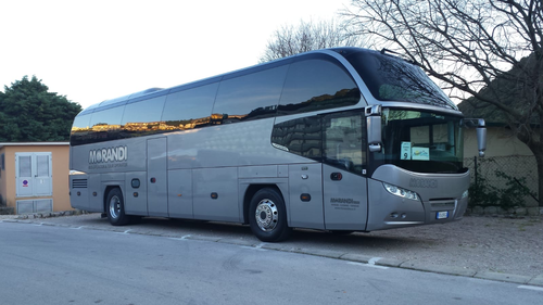 Neoplan Cityliner Grey 52