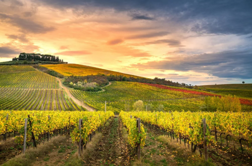 Siena e le Vie del Chianti