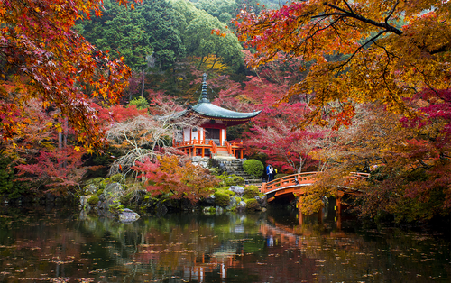 Grand Tour del Giappone durante il foliage con Stefania Morandi