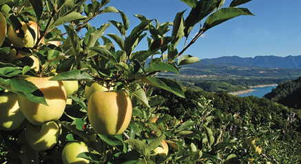 LA SPETTACOLARE VAL DI NON: NATURA E SAPORI TRA MELETI E CASTELLI