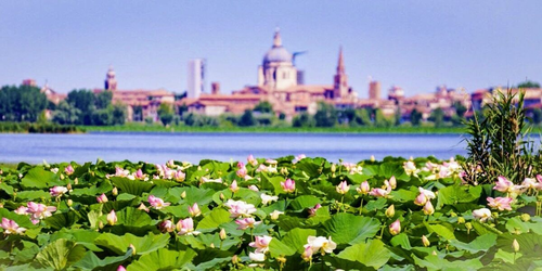 Mantova “Crociera dei Fiori di Loto”