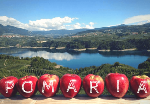 POMARIA: FESTA DELLE MELE IN VAL DI NON