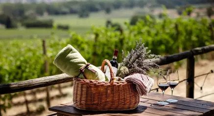 FERRAGOSTO IN VIGNA NEL CUORE DEL MONFERRATO CON PIC NIC, VISITA AL NOCCIOLETO E VIGNETO