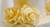 406-CAKE DESIGN O TRADIZIONE