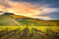 1464-Weekend nel Chianti