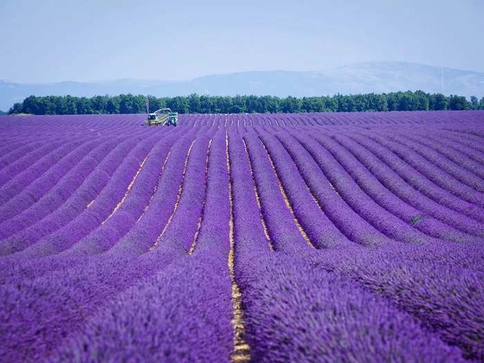 VIAGGI DI PIÙ GIORNI