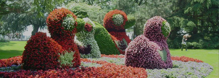 Alla Scoperta dell’Isola di Mainau E il lago di Costanza