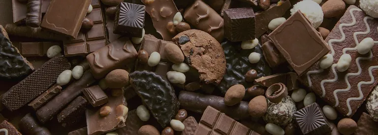 Festival Sciocolà Modena
