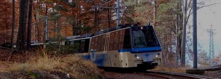 Treno del Foliage in Val Vigezzo - Da Locarno a Domodossola