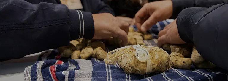 Alba o Canelli: Fiera del Tartufo, vini e prodotti tipici e il “Baccanale dei Borghi”