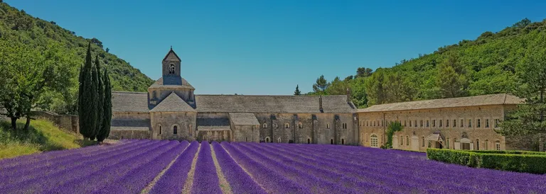 Campi di lavanda in fiore in Provenza: l’Abbazia di Sénanque