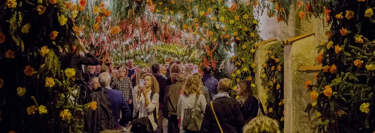 Visita all’Abbazia di San Nicola e la meravigliosa festa di Santa Croce a Montisola
