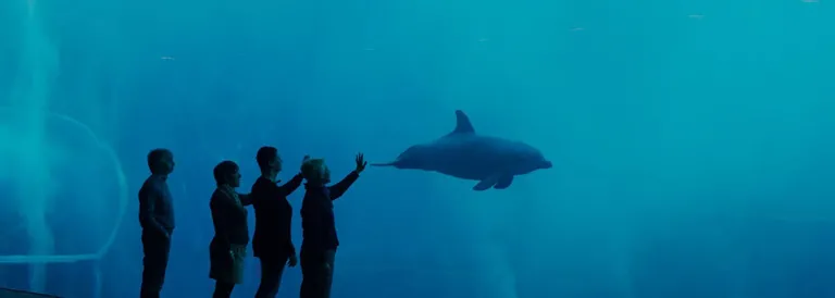 Genova e il suo famoso Acquario