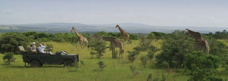 Gran tour del Sudafrica e safari al Parco Kruger con Stefania Morandi
