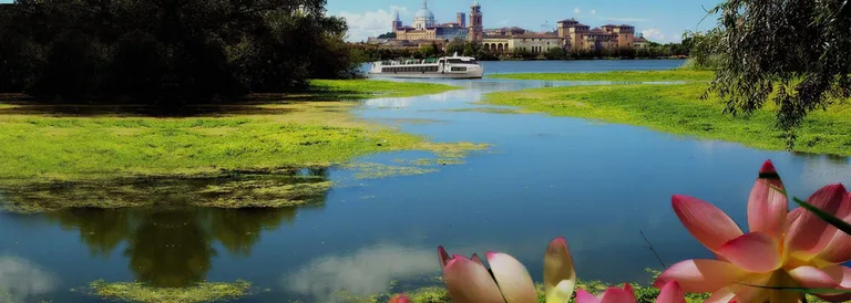 Mantova “Crociera dei Fiori di Loto”