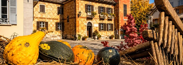 Fuori di Zucca e Santa Maria Maggiore