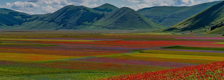 Arcobaleno Florale a Castelluccio di Norcia