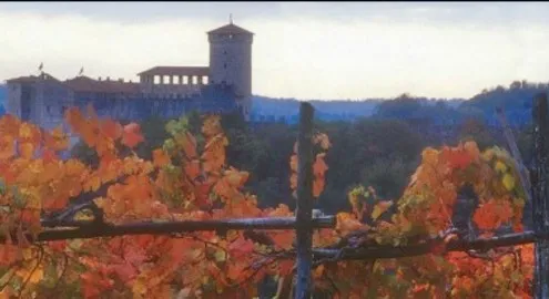 Spirits and Wines of Lake Maggiore