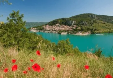 Alla scoperta di Camargue e Provenza