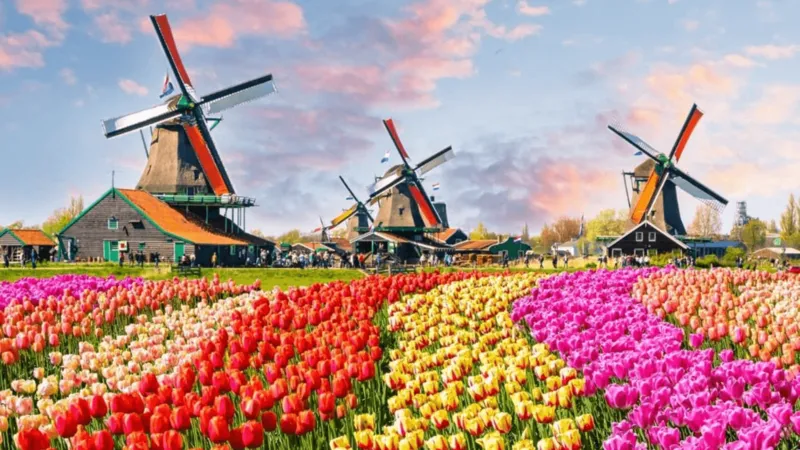 OLANDA INSOLITA: Amsterdam, il Keukenhof, Volendam, Marken e Rotterdam