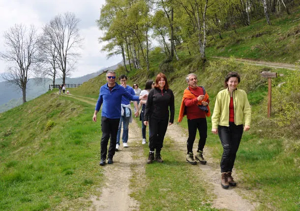 La linea della Pace Da Cuasso al Monte a Marzio sul Lago di Lugano Con Stefania Morandi