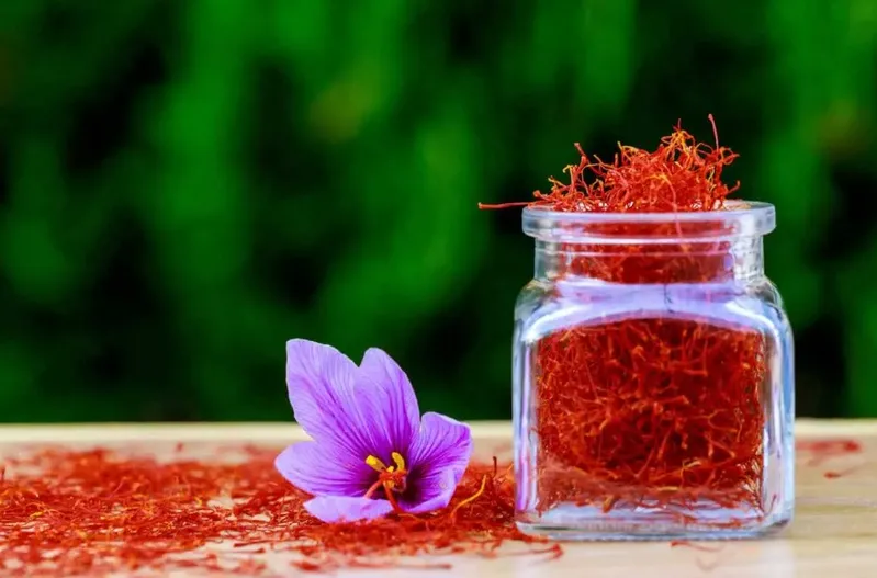 Oltrepò Pavese tra sapori, zafferano e grandi vini