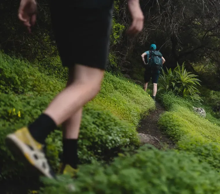 Trekking artistico, Sulle tracce di Pelizza da Volpedo