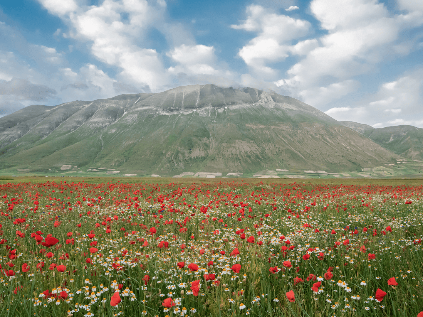 castelluccio_di_norcia