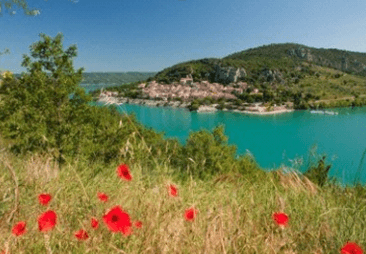 i_profumi_della_provenza_e_i_colori_della_camargue_un_meraviglioso_viaggio_tra_arte_e_natura2__1_